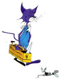 Chat Mauve