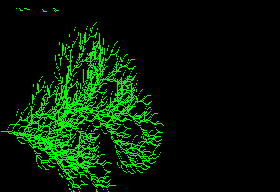 Screen Fractal-Ware