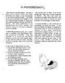 Scan Nibble News