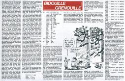 Bidouille Grenouille