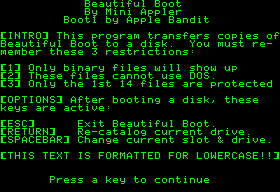 Beautiful Boot maker