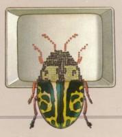 Bug